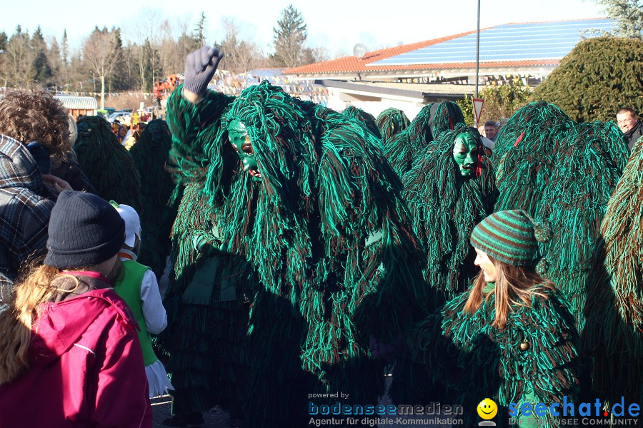 Fasnet 2011-Narrensprung-Horgenzell-060211-seechat_de