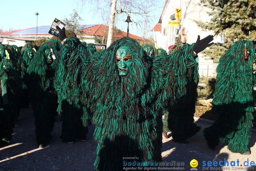 Fasnet 2011-Narrensprung-Horgenzell-060211-seechat_de