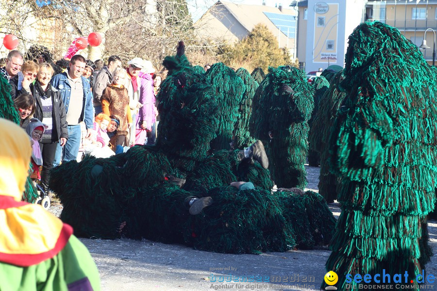 Fasnet 2011-Narrensprung-Horgenzell-060211-seechat_de