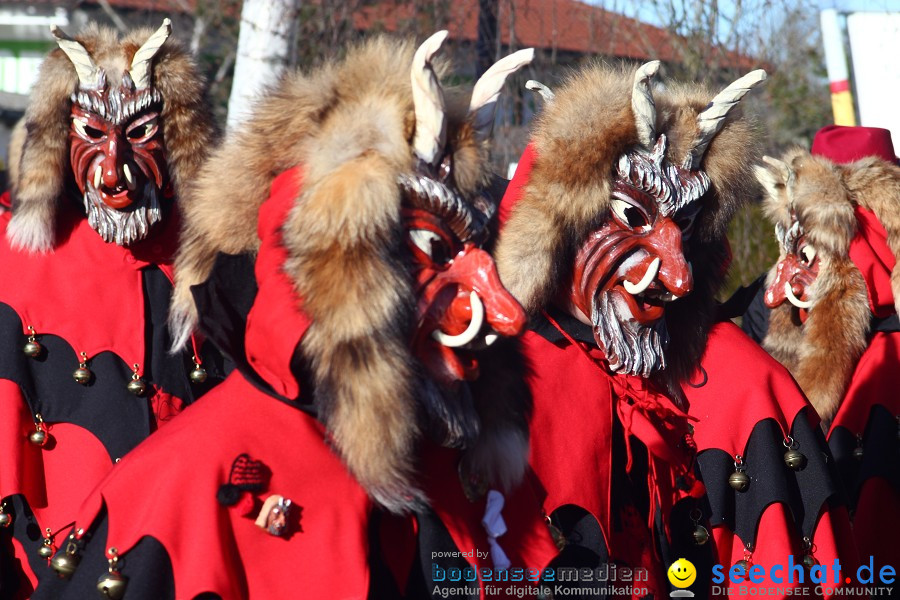 Fasnet 2011-Narrensprung-Horgenzell-060211-seechat_de