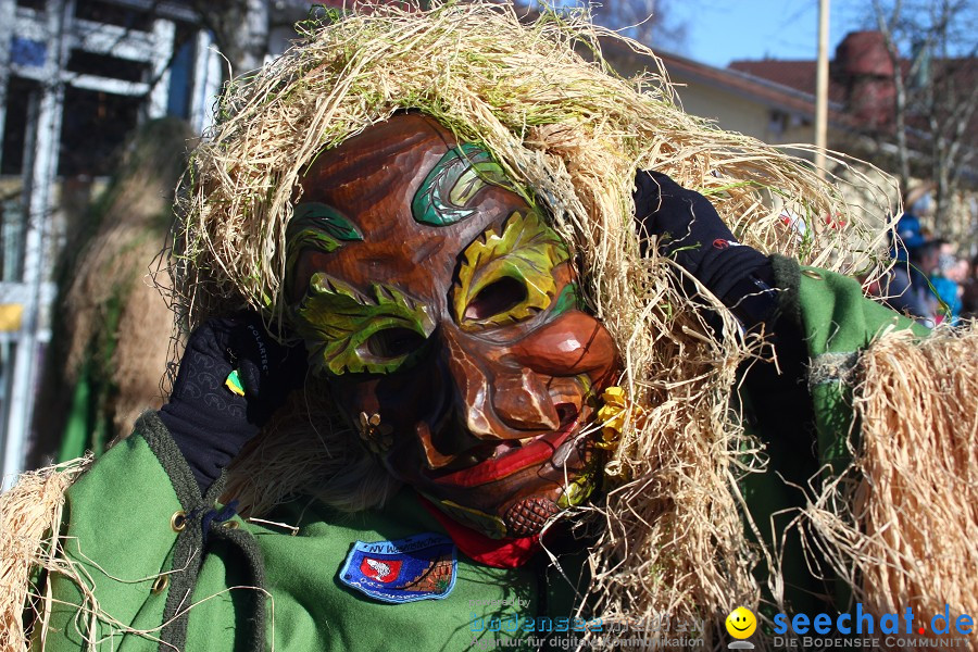 Fasnet 2011-Narrensprung-Horgenzell-060211-seechat_de