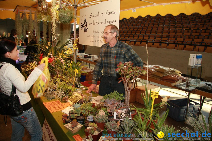 Reptilienboerse - Oberschwabenhalle: Ravensburg, 12.02.2011