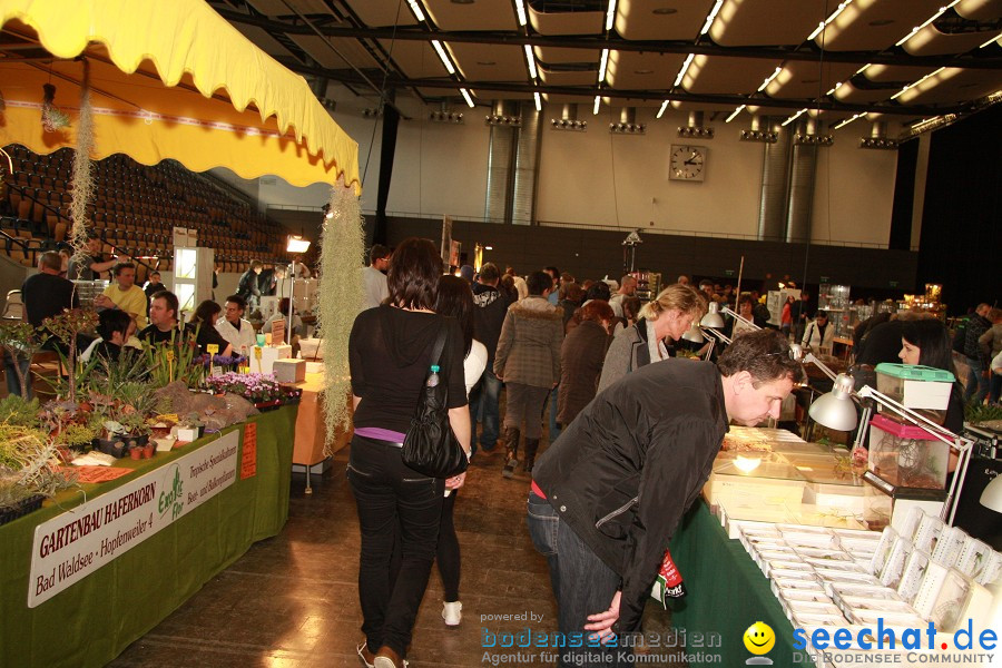 Reptilienboerse - Oberschwabenhalle: Ravensburg, 12.02.2011