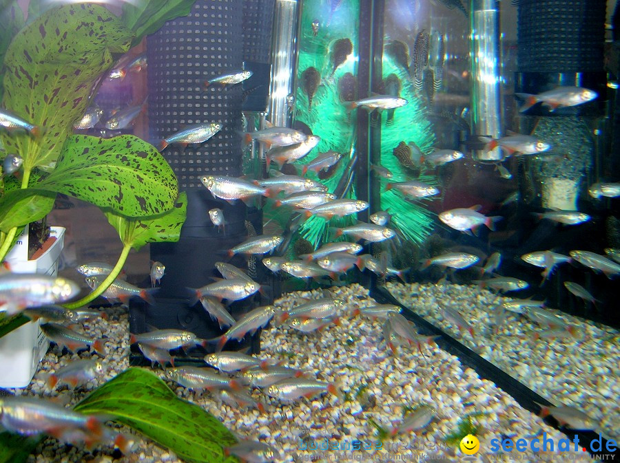 Aqua Fisch Messe Friedrichshafen 2011