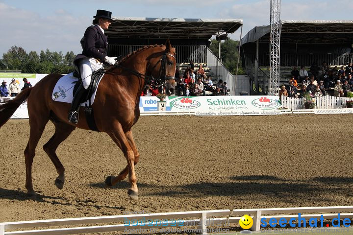 CHI Donaueschingen 2008