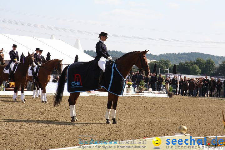 CHI Donaueschingen 2008