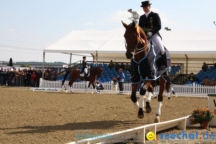 CHI Donaueschingen 2008