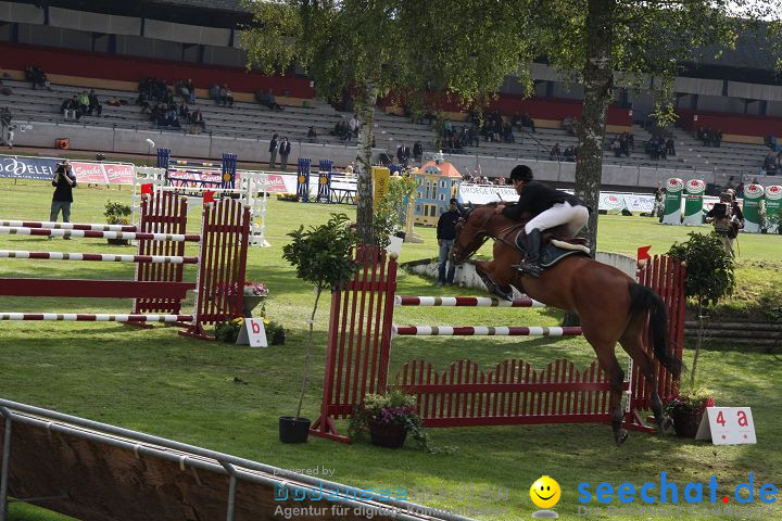 CHI Donaueschingen 2008