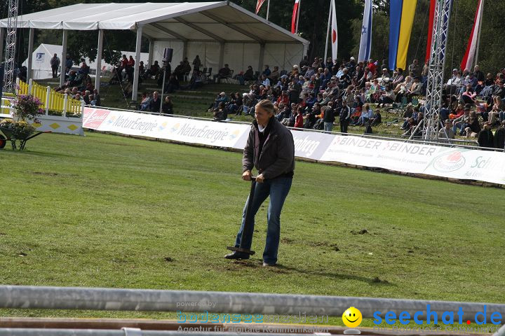 CHI Donaueschingen 2008