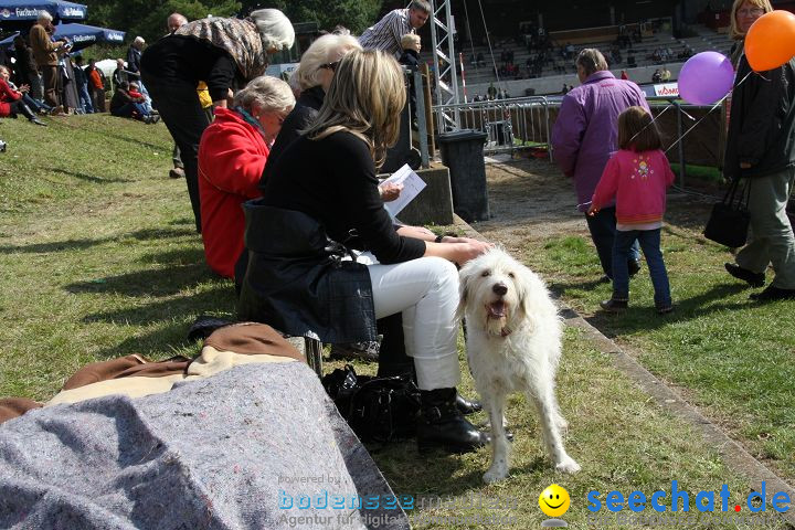 CHI Donaueschingen 2008