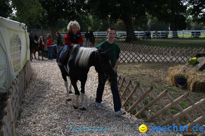 CHI Donaueschingen 2008