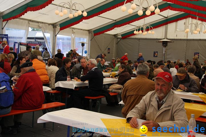 CHI Donaueschingen 2008