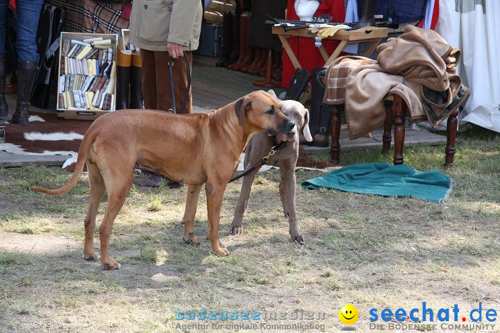 CHI Donaueschingen 2008