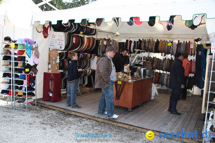 CHI Donaueschingen 2008