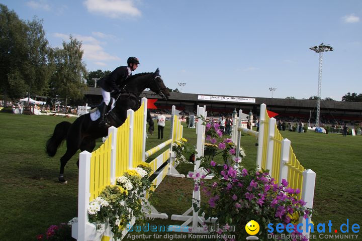 CHI Donaueschingen 2008