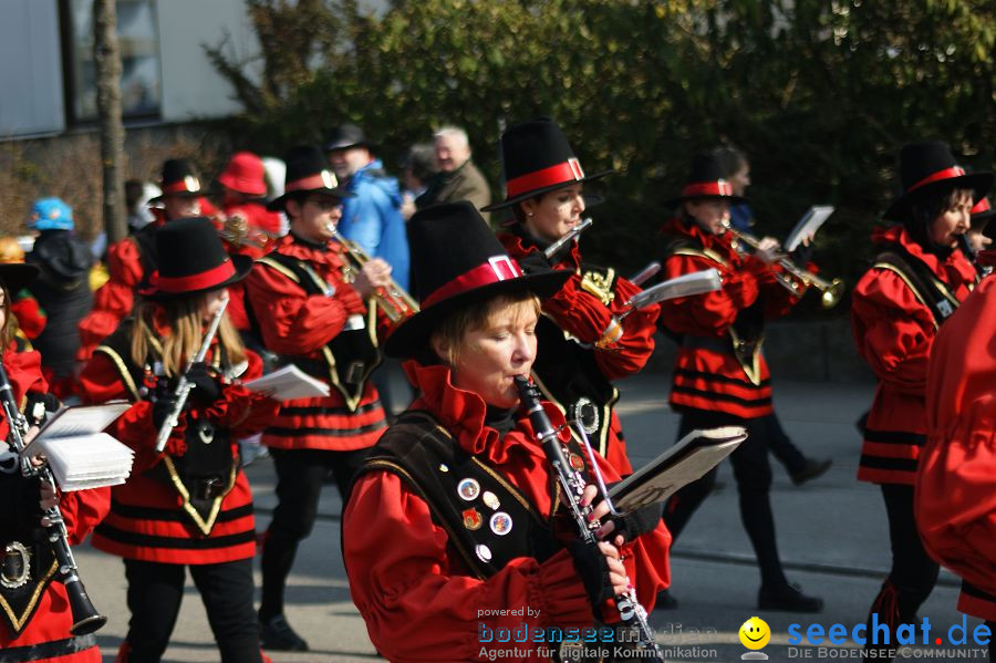 Narrenbaumstellen: Stockach am Bodensee, 03.03.2011