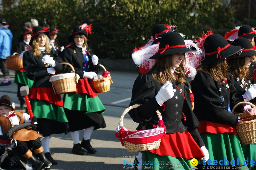 Narrenbaumstellen: Stockach am Bodensee, 03.03.2011