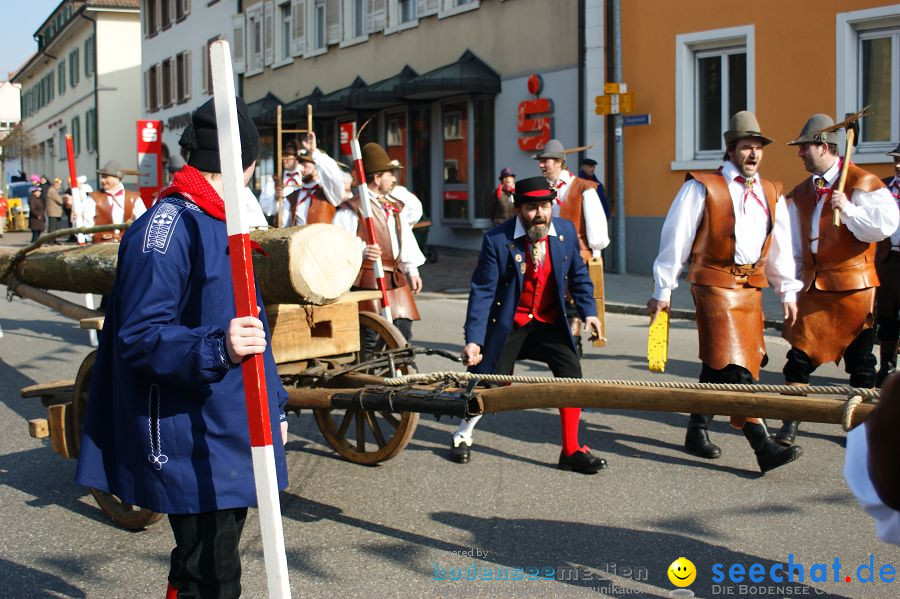 Narrenbaumstellen: Stockach am Bodensee, 03.03.2011