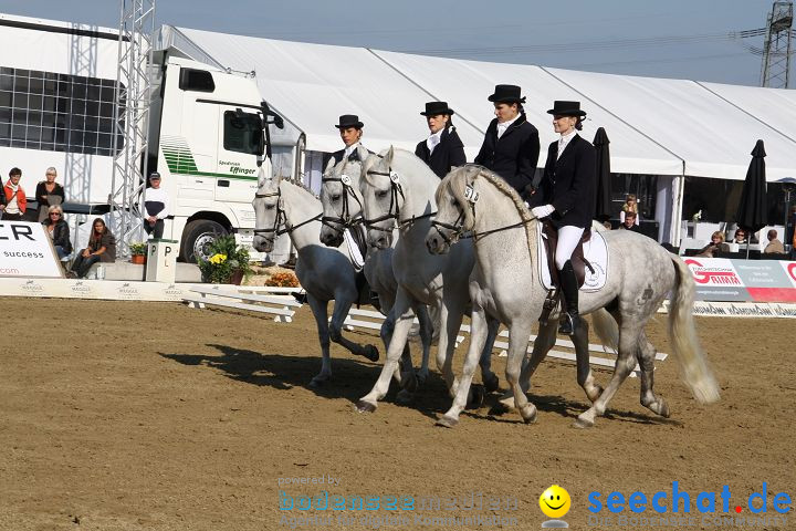 CHI Donaueschingen 2008