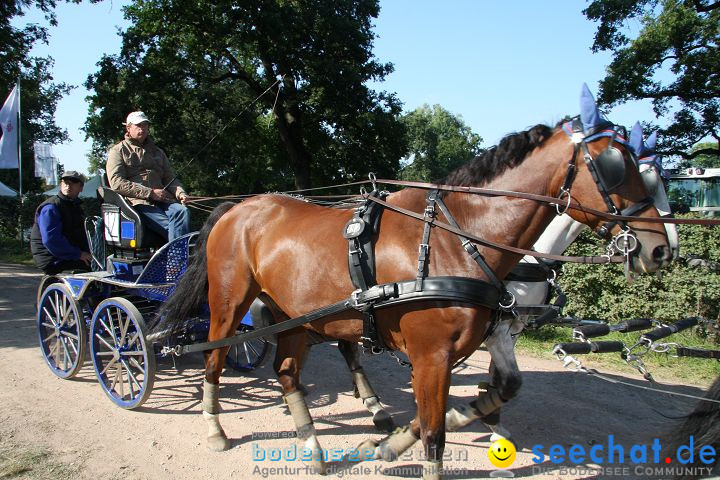 CHI Donaueschingen 2008