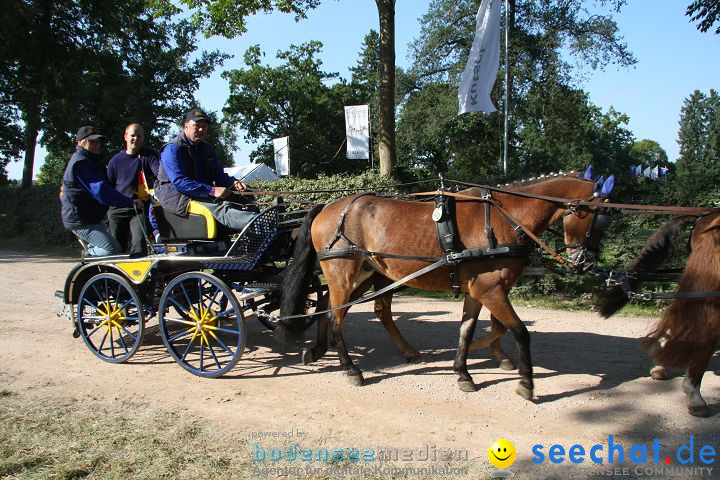 CHI Donaueschingen 2008