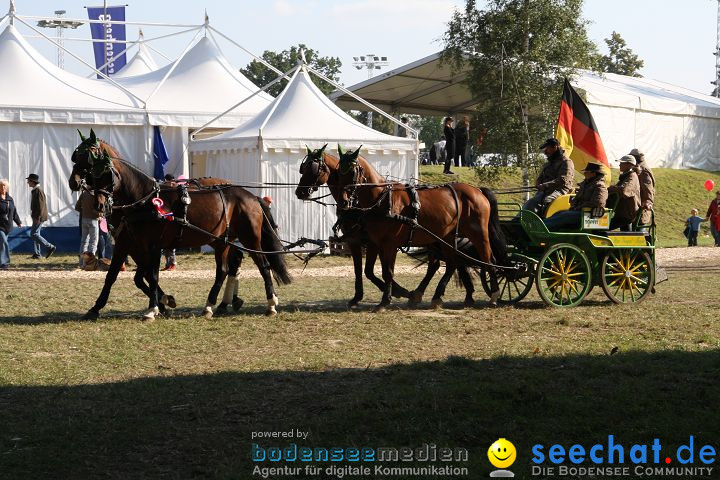 CHI Donaueschingen 2008