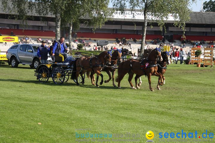 CHI Donaueschingen 2008