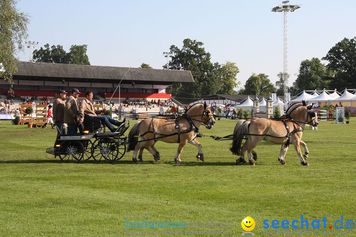 CHI Donaueschingen 2008