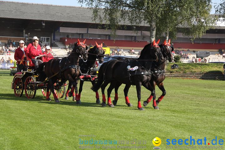 CHI Donaueschingen 2008