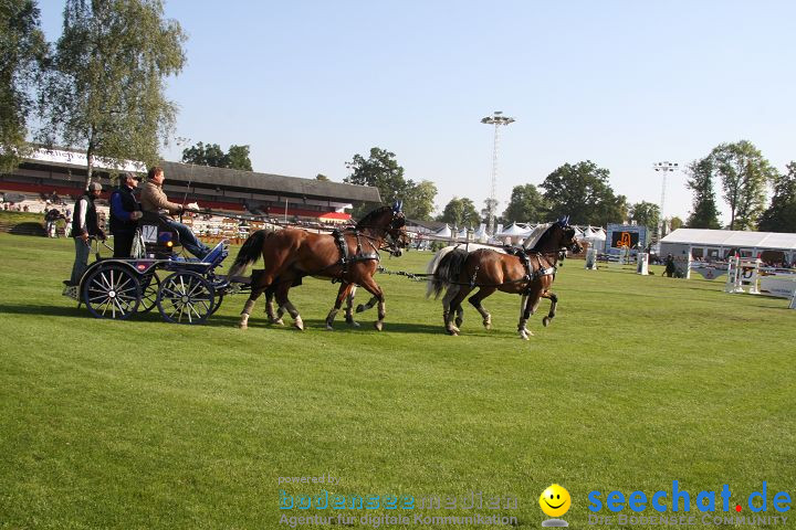 CHI Donaueschingen 2008