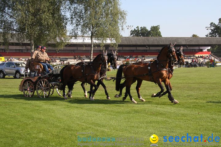 CHI Donaueschingen 2008