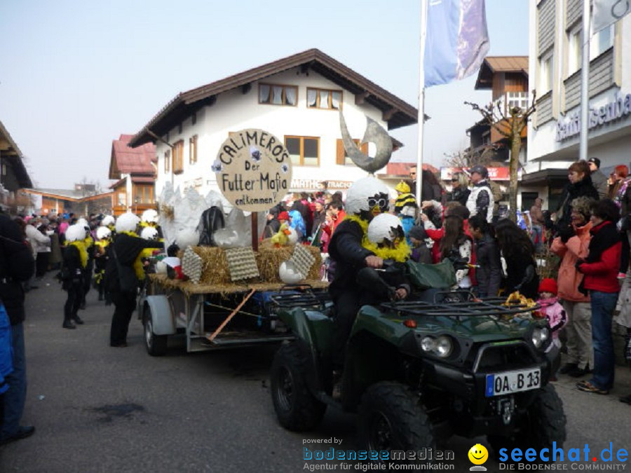 Faschingsball und Umzug: Oberstdorf bei Ravensburg, 06.03.2011