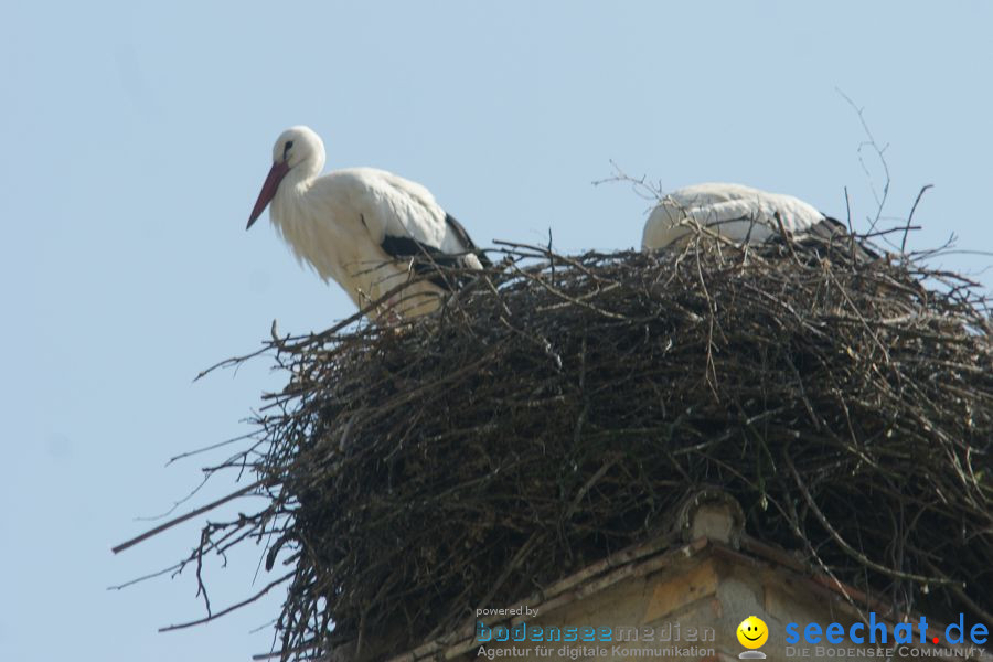 Ausflug: Affenberg: Salem am Bodensee, 23.04.2011