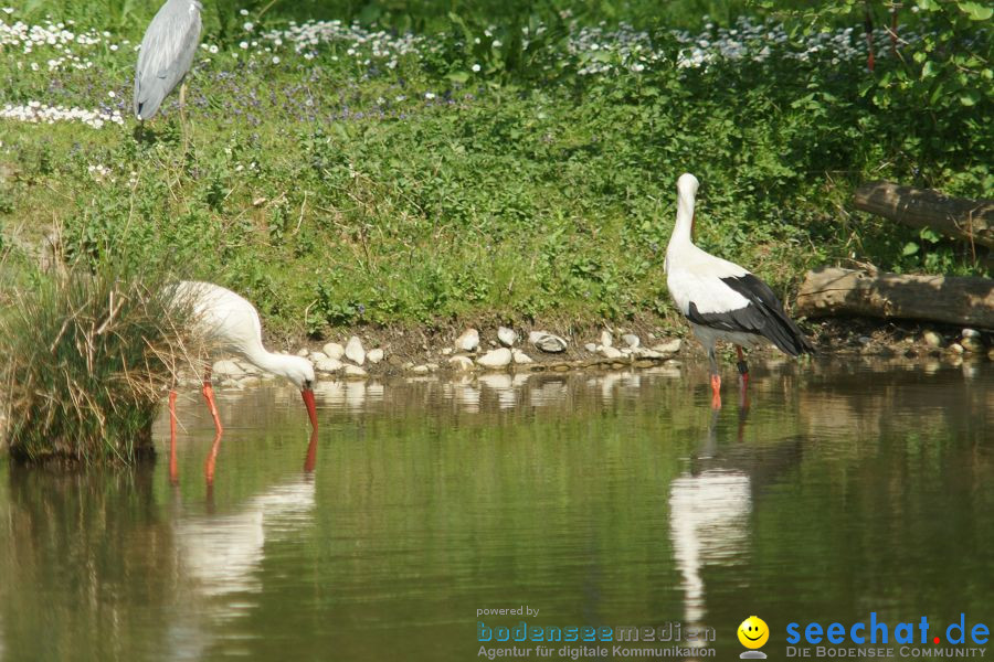 Ausflug: Affenberg: Salem am Bodensee, 23.04.2011