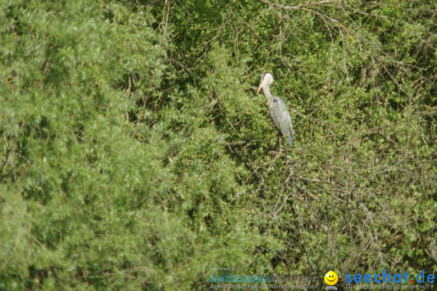 Ausflug: Affenberg: Salem am Bodensee, 23.04.2011