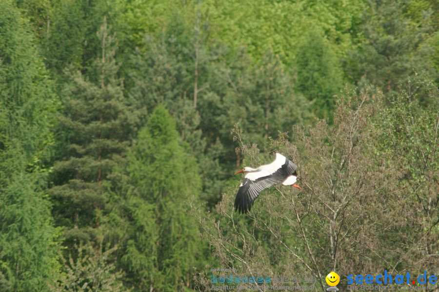 Ausflug: Affenberg: Salem am Bodensee, 23.04.2011