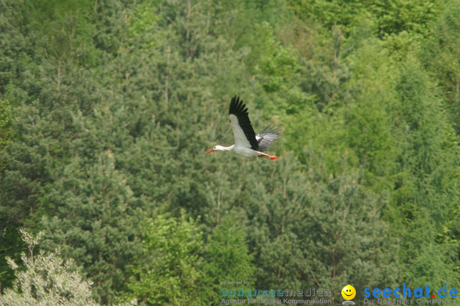 Ausflug: Affenberg: Salem am Bodensee, 23.04.2011