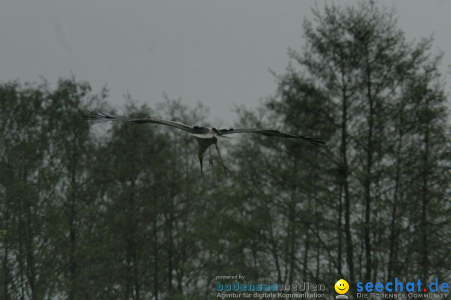 Ausflug: Affenberg: Salem am Bodensee, 23.04.2011