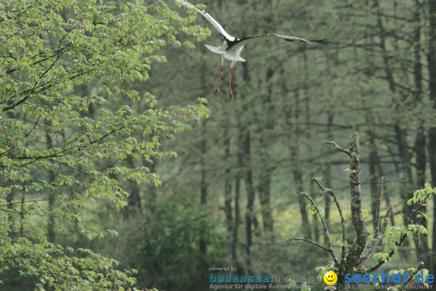 Ausflug: Affenberg: Salem am Bodensee, 23.04.2011