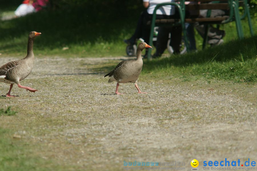 Ausflug: Affenberg: Salem am Bodensee, 23.04.2011