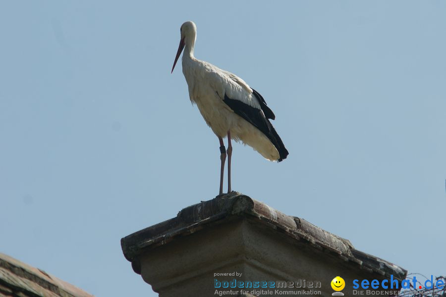 Ausflug: Affenberg: Salem am Bodensee, 23.04.2011