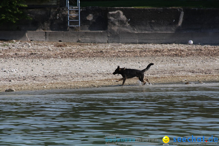 Ausflugsfahrt: Radolfzell - Insel Reichenau: Bodensee-Schifffahrt, 25.04.20