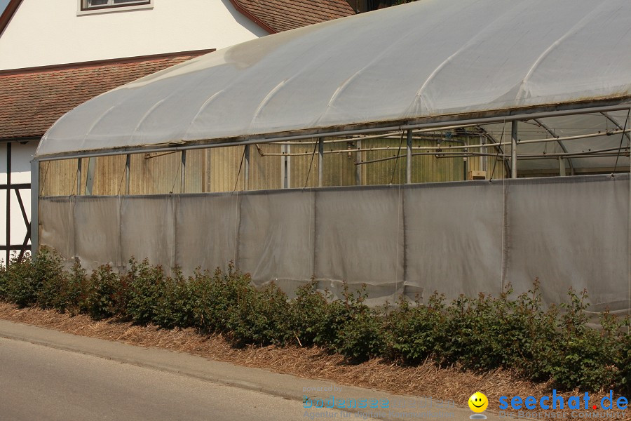 Ausflugsfahrt: Radolfzell - Insel Reichenau: Bodensee-Schifffahrt, 25.04.20