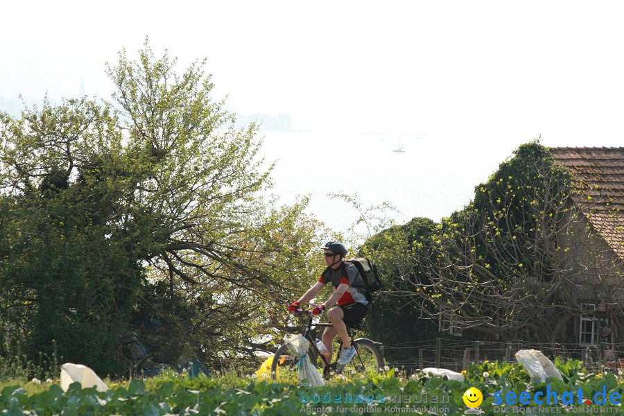 Ausflugsfahrt: Radolfzell - Insel Reichenau: Bodensee-Schifffahrt, 25.04.20