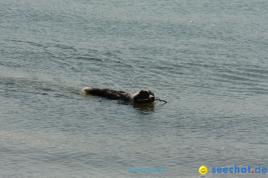 Ausflugsfahrt: Radolfzell - Insel Reichenau: Bodensee-Schifffahrt, 25.04.20