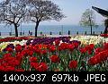 members/segway-friedrichshafen-albums-segway-fahren-am-bodensee-fn-picture5734-9.jpg