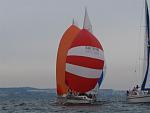 members/wilderness-albums-regatta-der-eisernen-2010-picture5058-bild-1.jpg